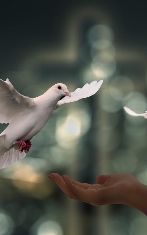 Promoting Peace